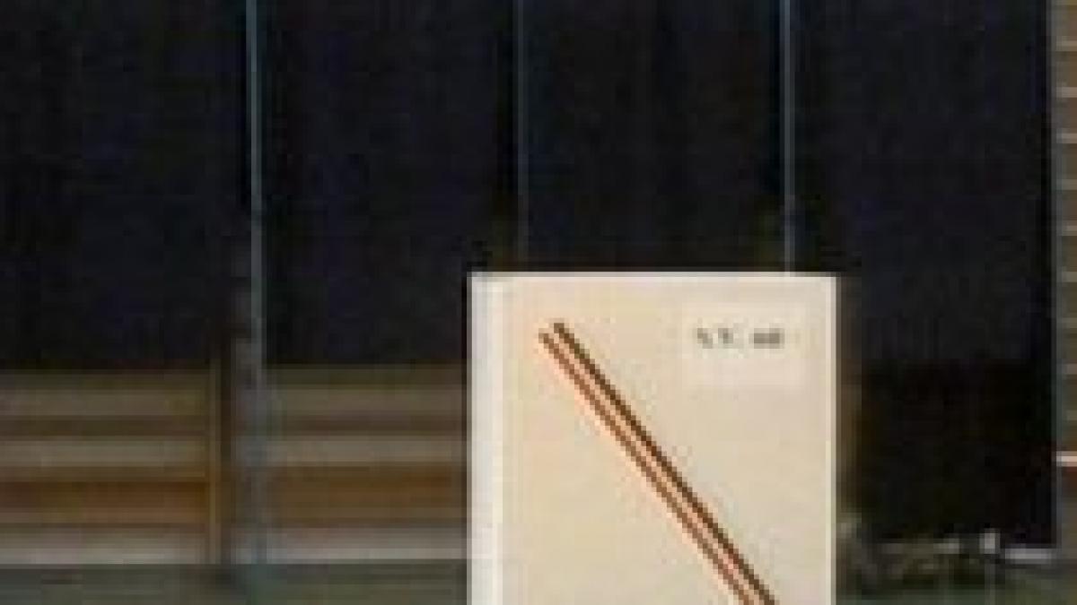 alegerile prezidentiale ar putea avea loc pe 22 sau 29 noiembrie