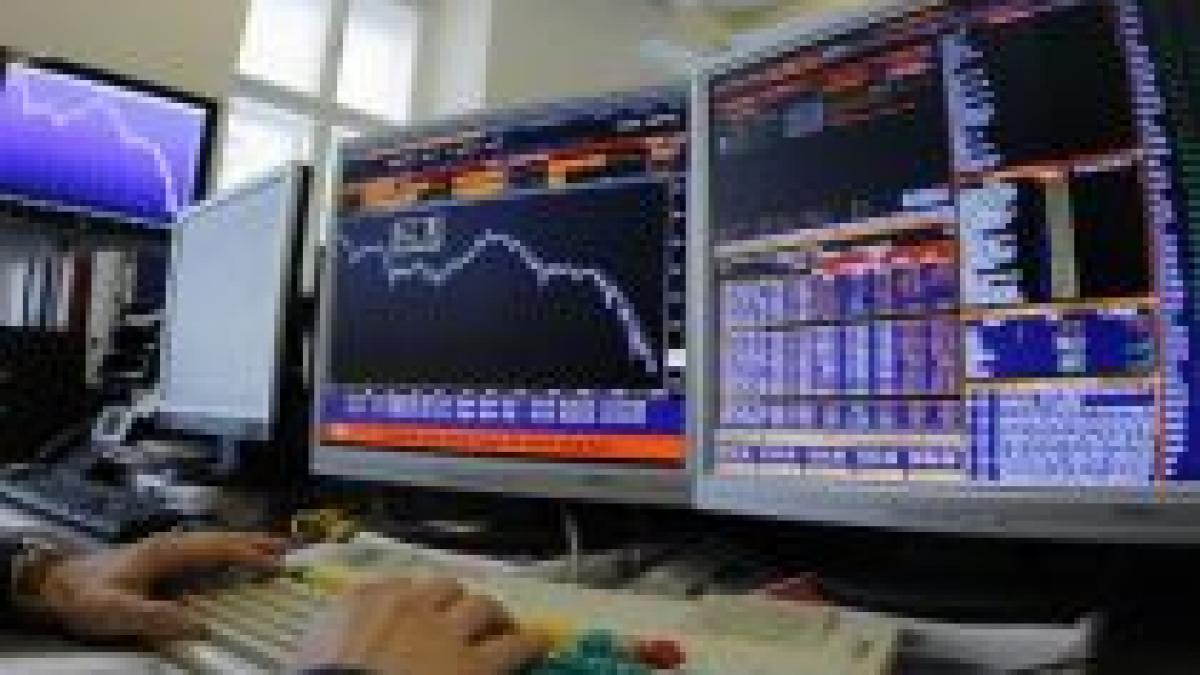 bursa sua creste timid