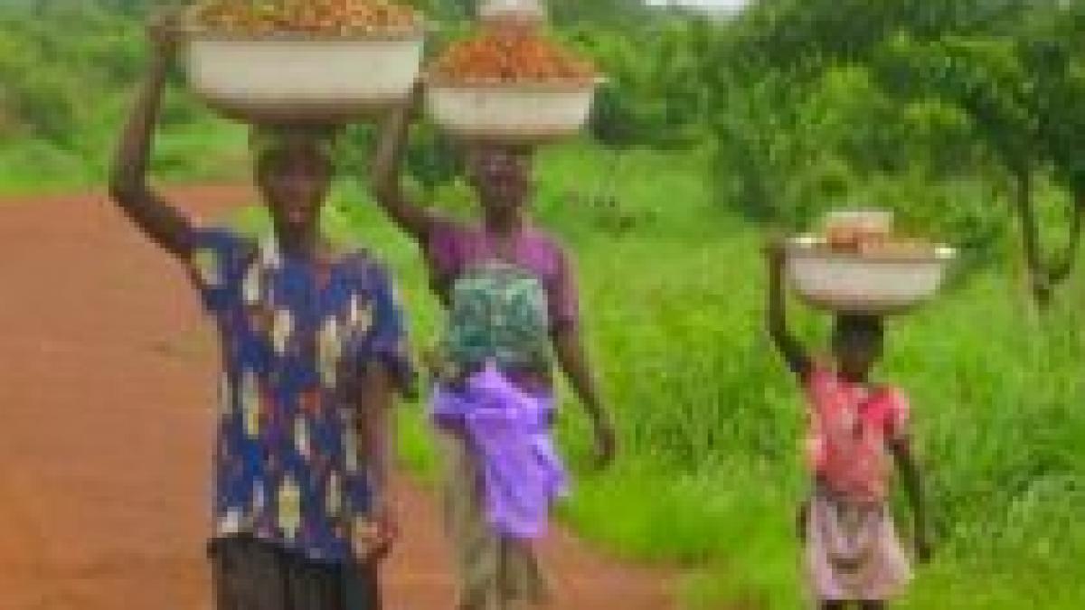 g8 se va angaja sa sprijine agricultura africana