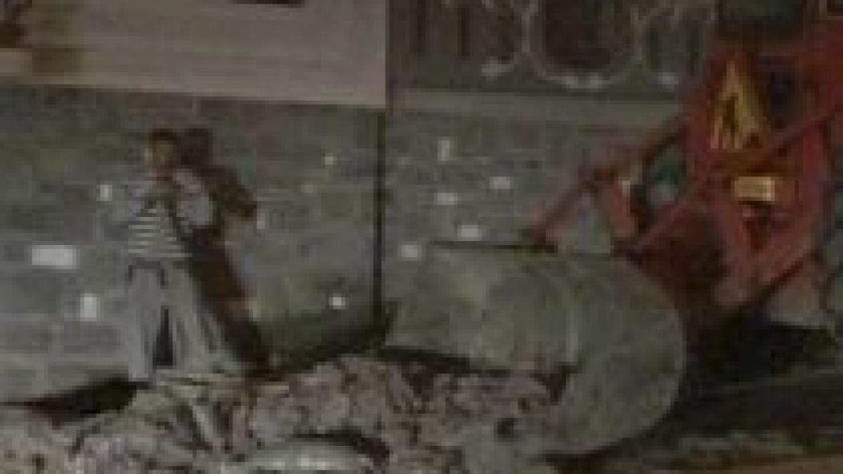 Transportul buclucaş. Cadavre animale, împrăştiate în Reghin... şi apoi în Bistriţa (VIDEO)