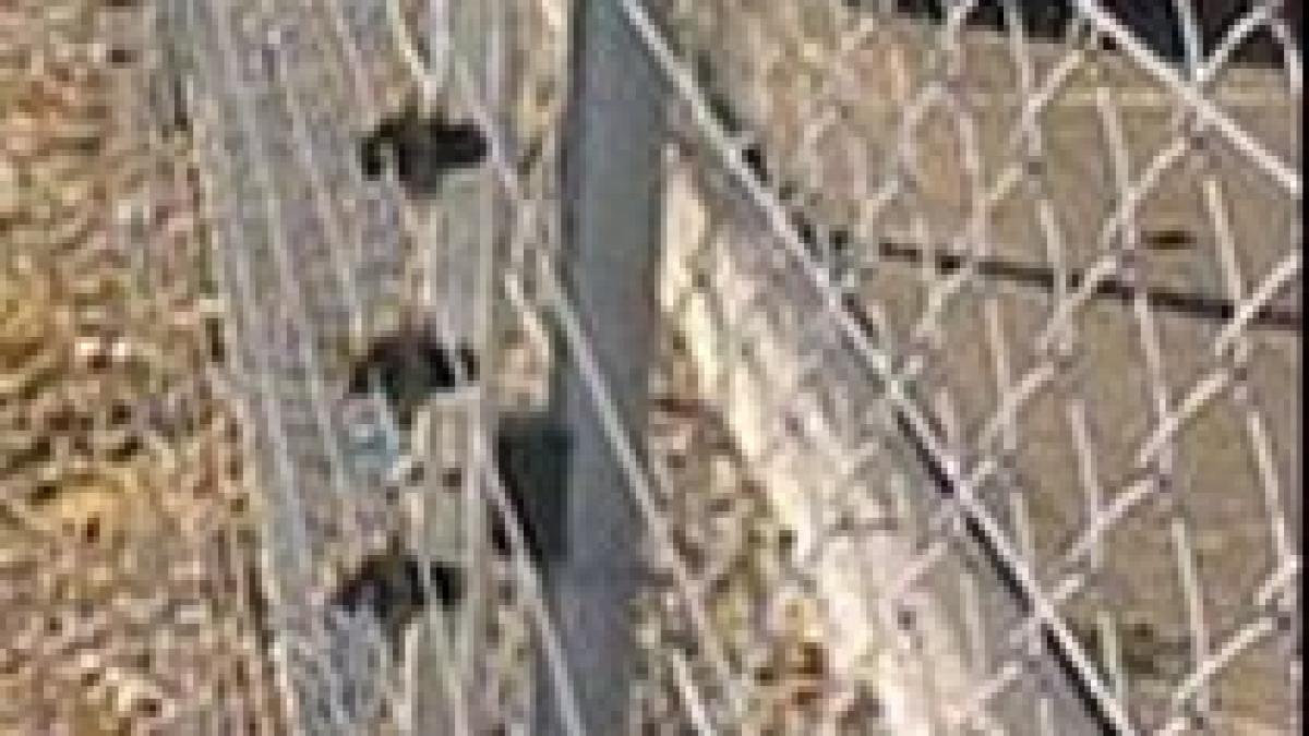 un tanar din comuna pechea a murit dupa ce a fost electrocutat de gratiile unui magazin