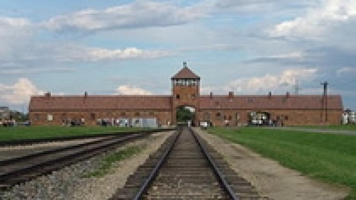 supravietuitor al holocaustului nascut in romania a obtinut diploma de doctor la 81 de ani