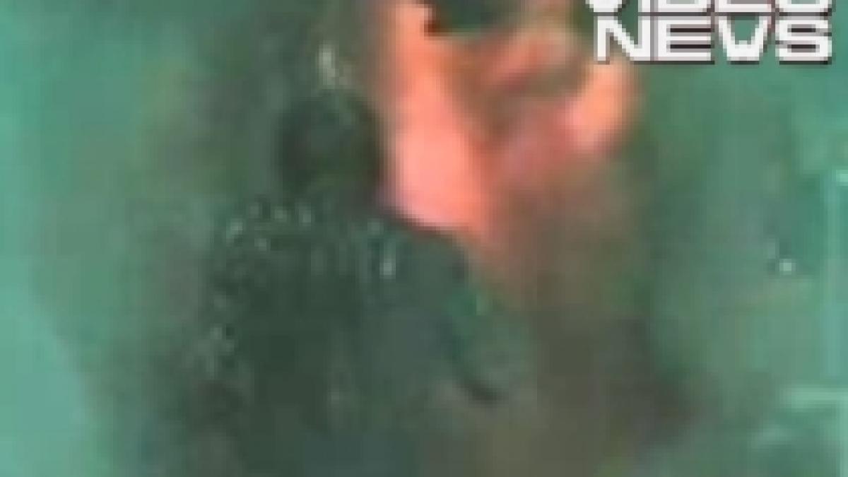 michael jackson cu scalpul in flacari video