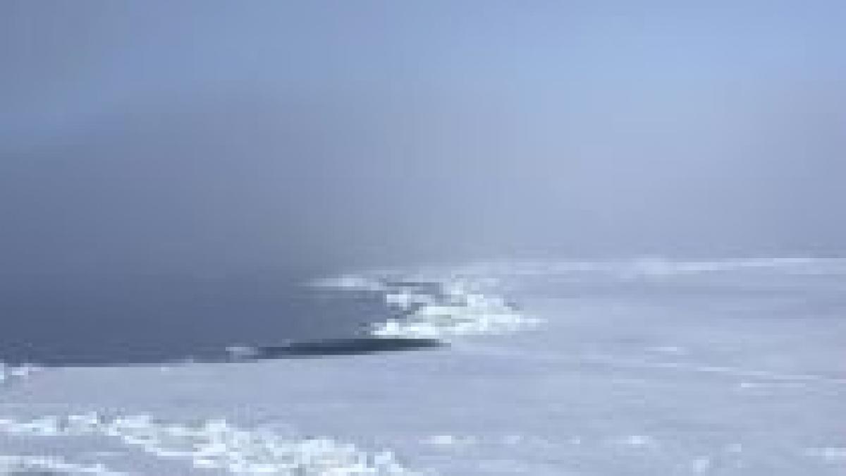 sua a publicat imagini secrete cu gheata arctica