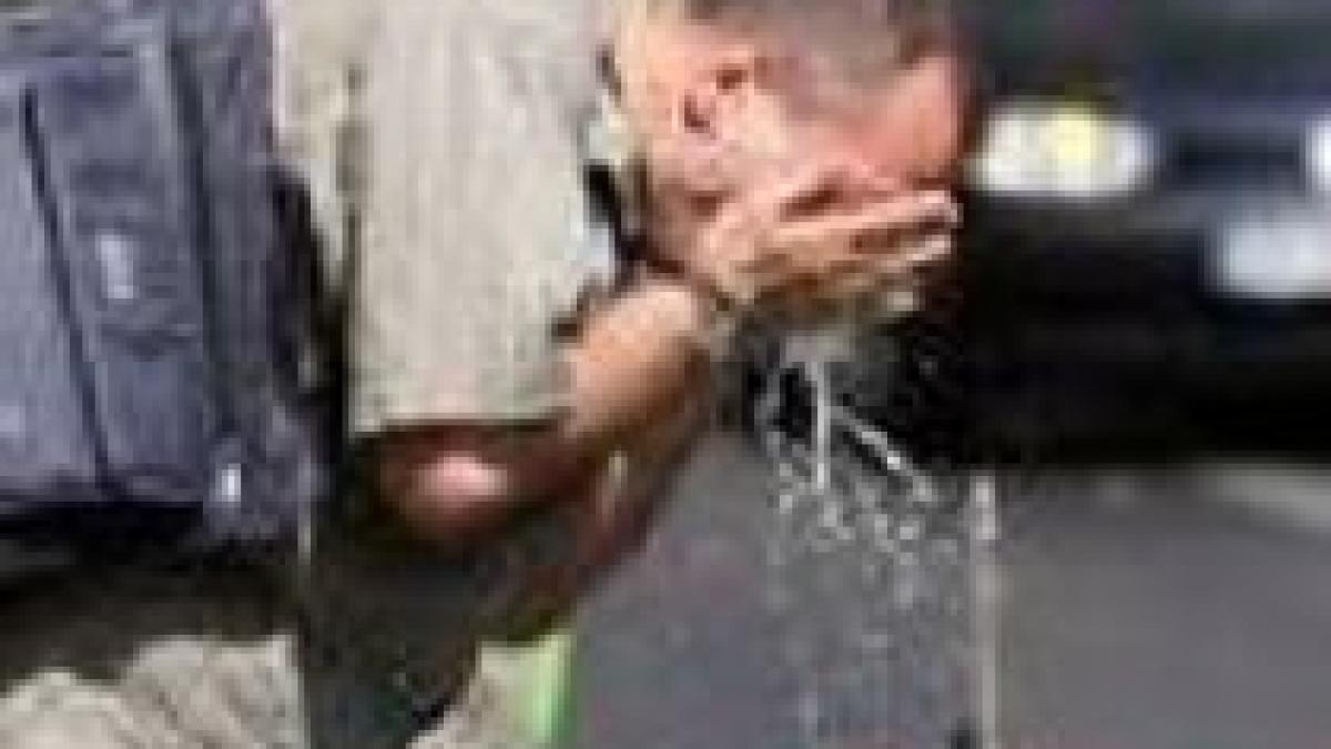 victimele caniculei trei galateni au murit din cauza caldurii