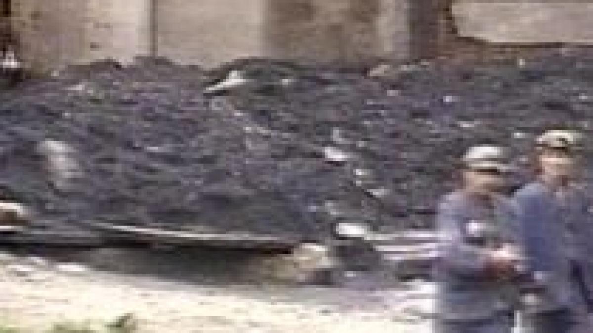 alerta la exploatarea miniera plostina trei kilograme de explozibil si o mie de capse electrice