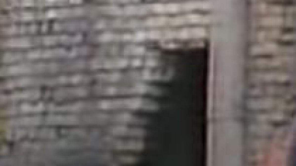 autorii furtului de la mina plostina prinsi de politie