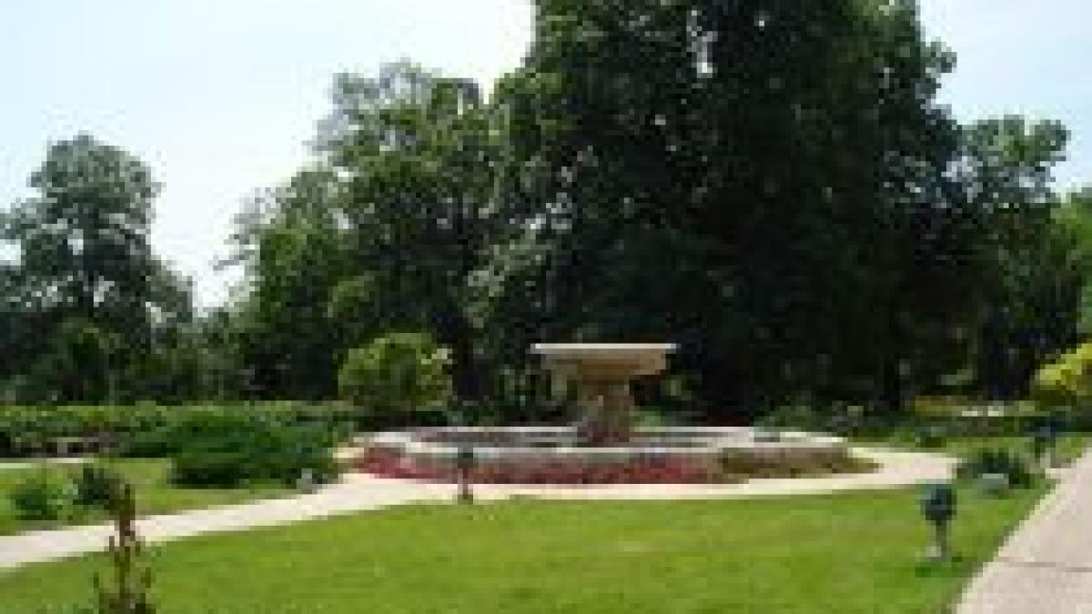 cotroceniul vrea sistem de irigatii de 60 000 de euro