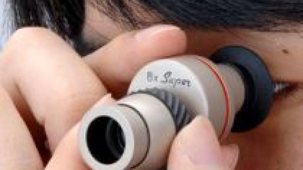 germania acuza china de spionaj industrial