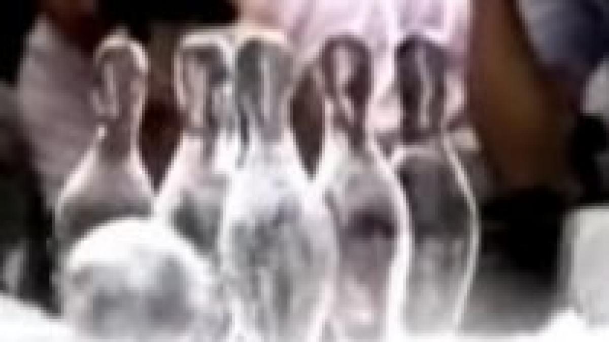 bowling cu gheata sau cum se racoresc japonezii pe canicula video