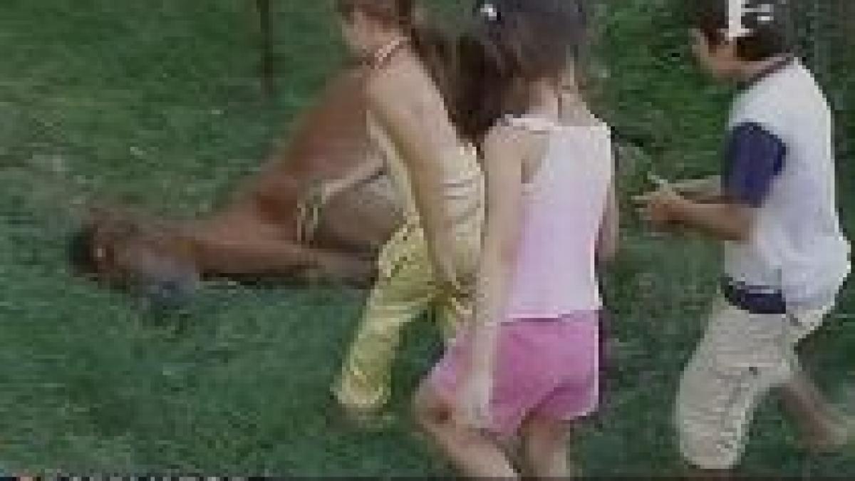 un cal a zacut doua zile pe strazile orasului bocsa animalul s a stins pana la urma video