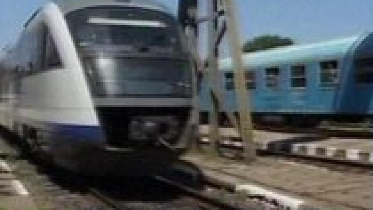 firma lui radu berceanu principalul furnizor de elemente din fibra de sticla pentru trenurile de