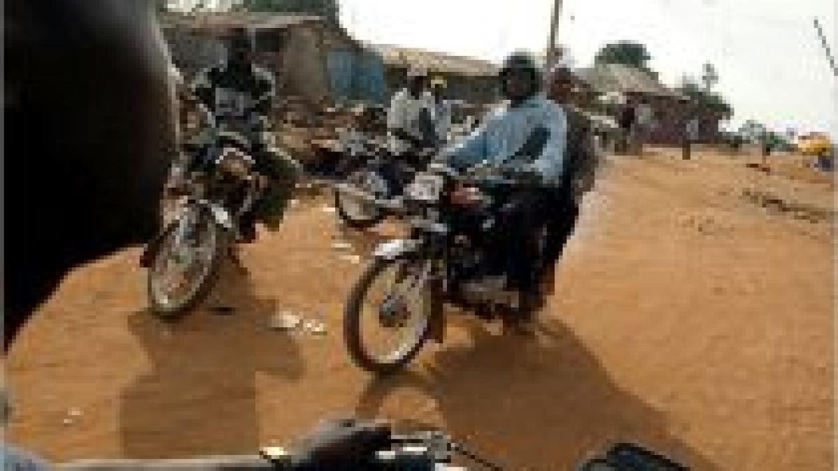 infotrafic un motociclist a murit dupa ce o vaca i a taiat calea