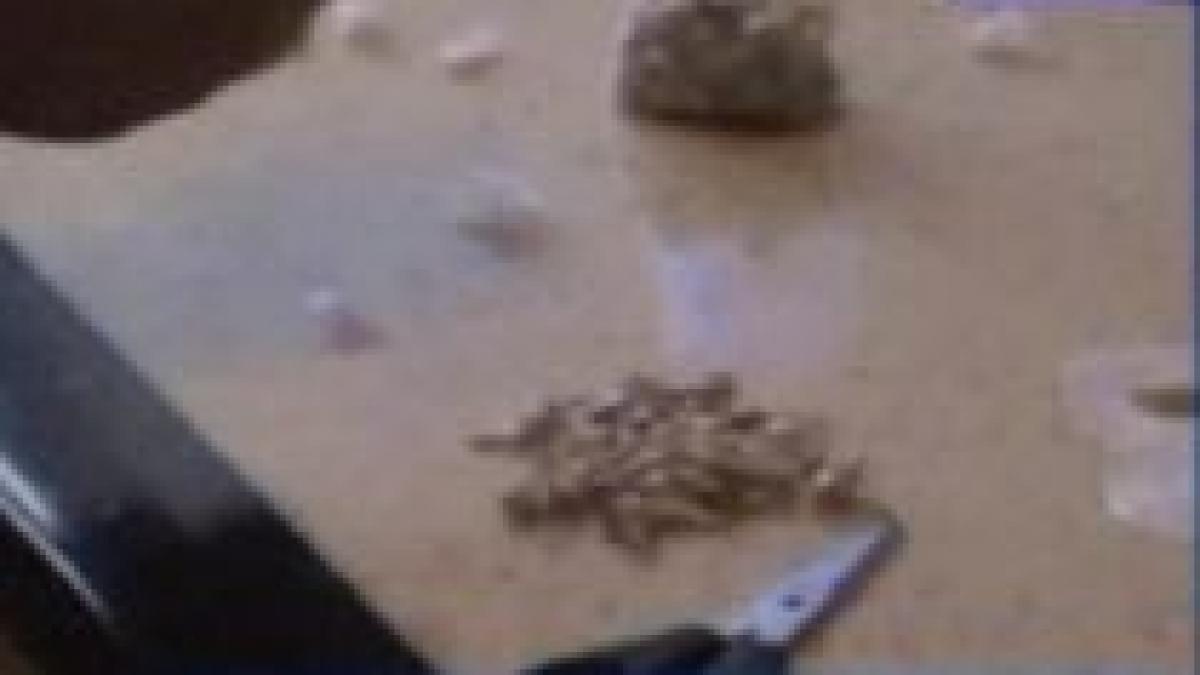 descinderi in forta la suceava politistii incearca anihilarea unei retele de transport de droguri