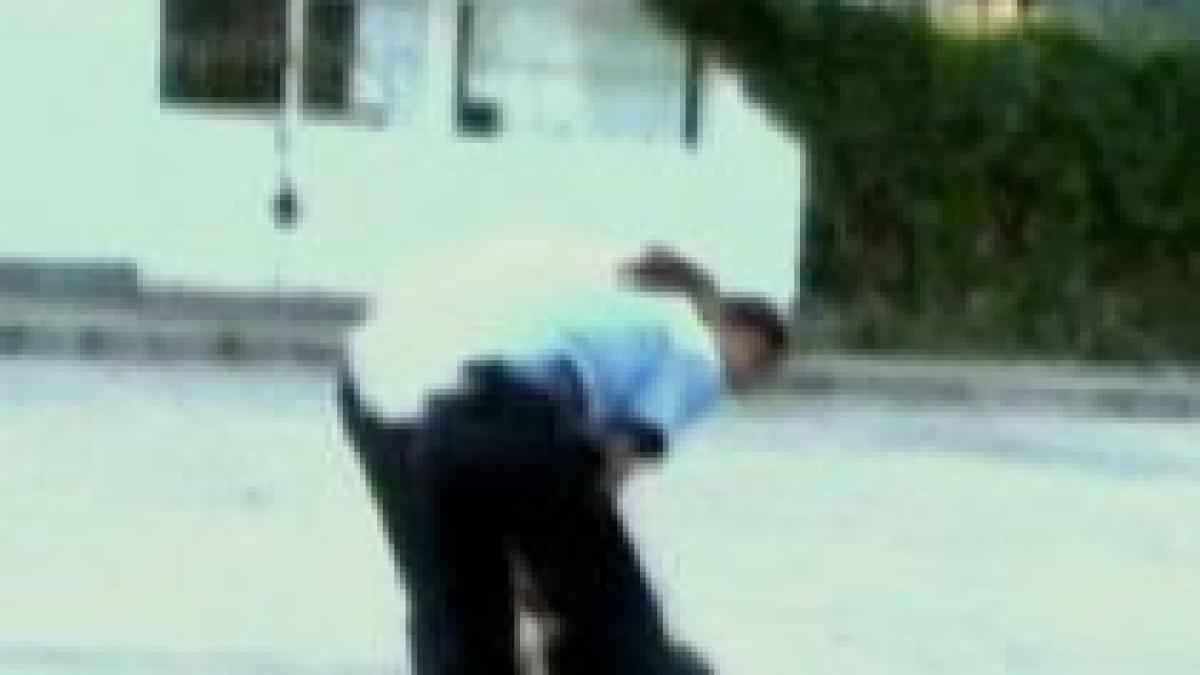 moreni un sofer care nu a oprit la semnalul politistilor a fost oprit cu focuri de arma video