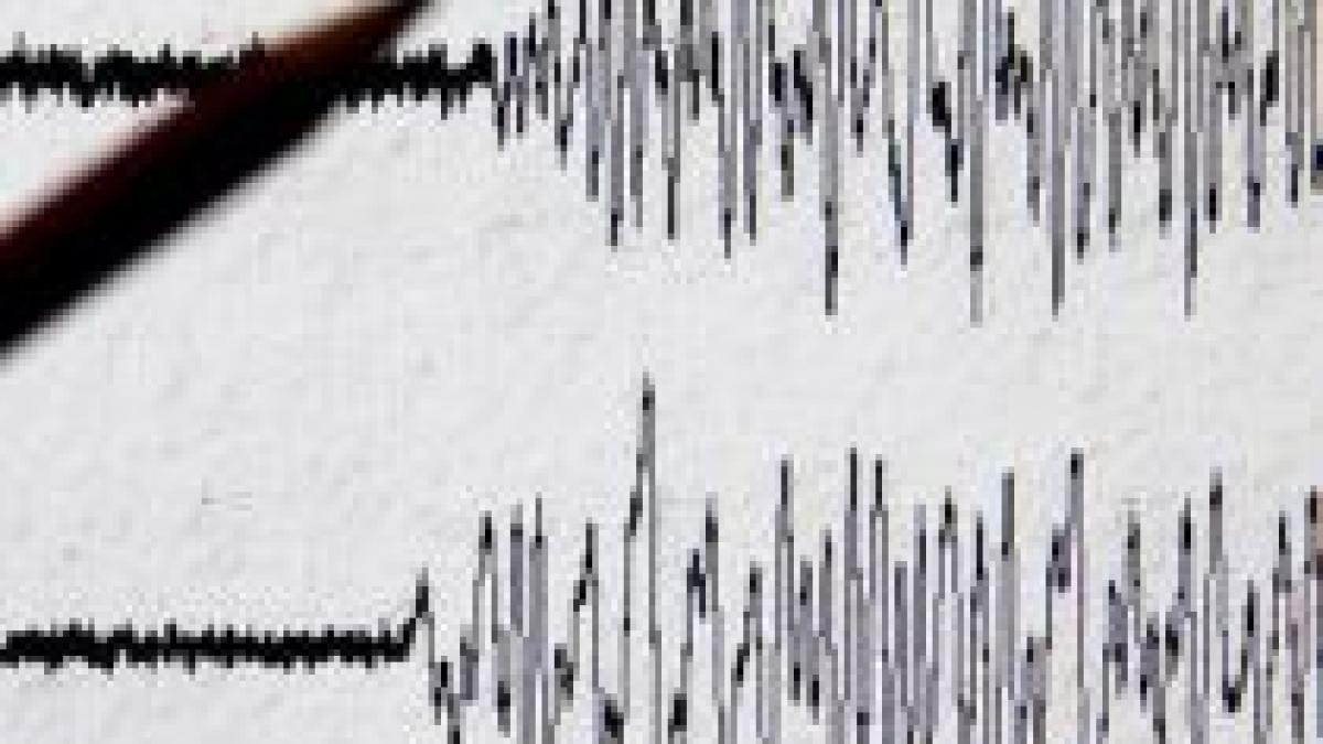 Cutremur de 6,9 pe scara Richter în largul coastelor Mexicului