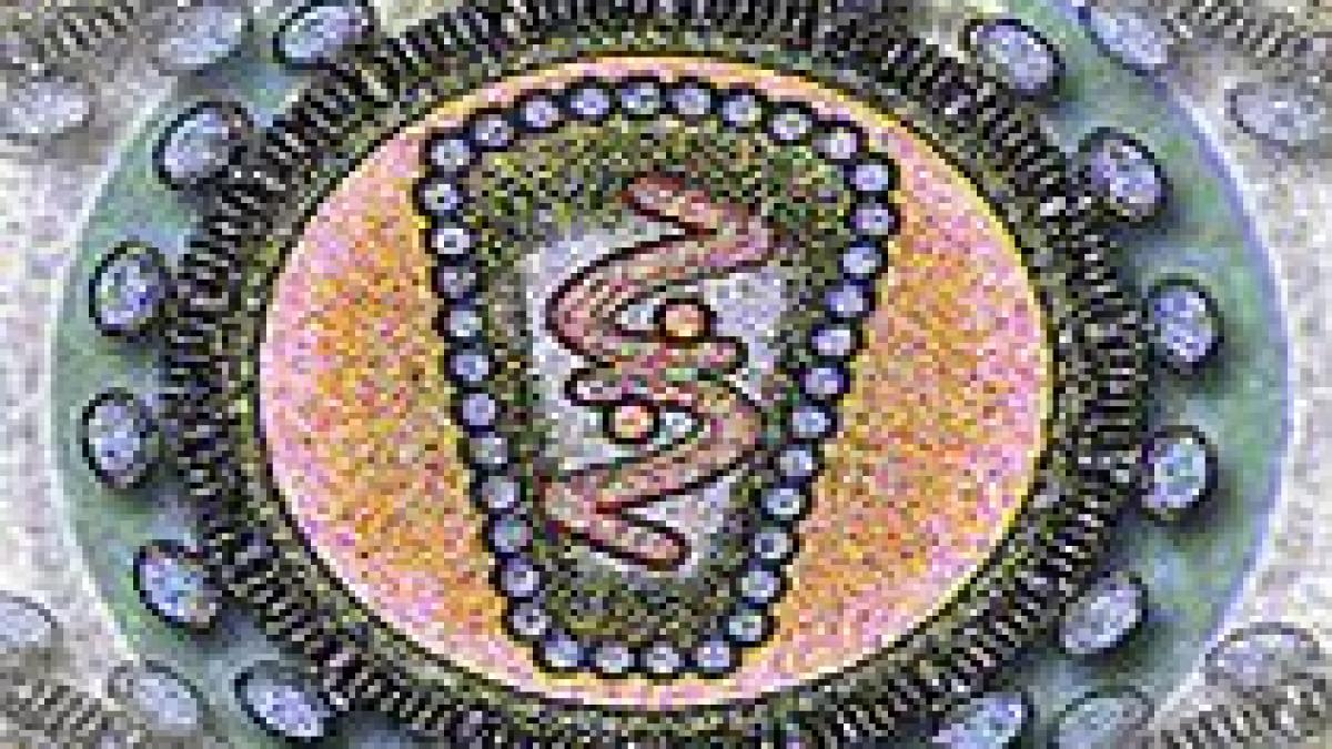 o noua tulpina a virusului hiv descoperita la o femeie din camerun