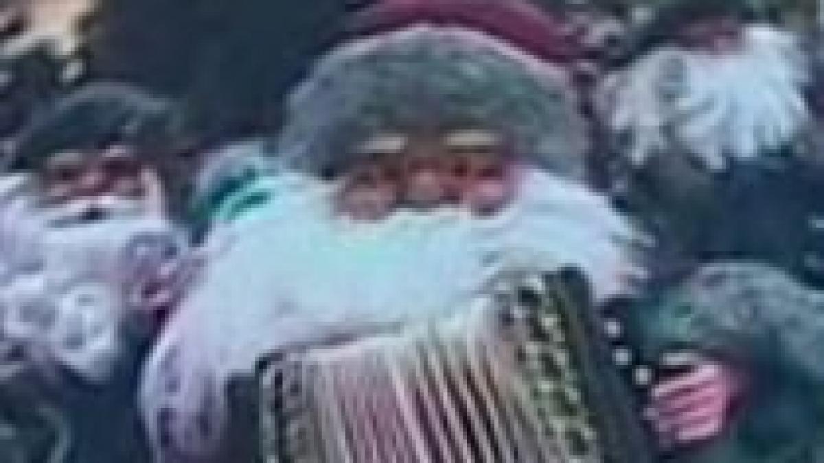 chelului ii trebuie luminite de craciun primaria craiovei da un milion de euro pe instalatii de