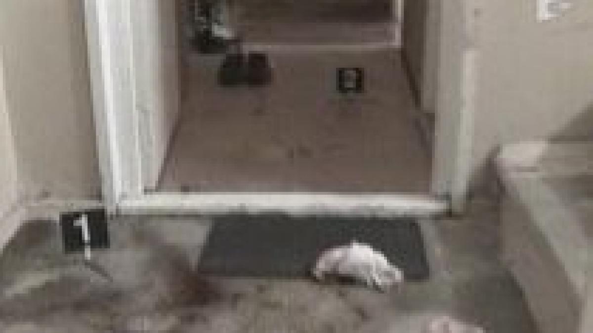 date noi in cazul crimei de la timisoara fata ar fi apelat la o firma de tractari auto video