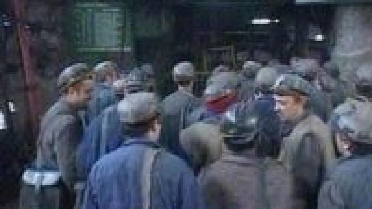 prime intre 300 si 500 de lei pentru minerii din oltenia desi societatile miniere au datorii