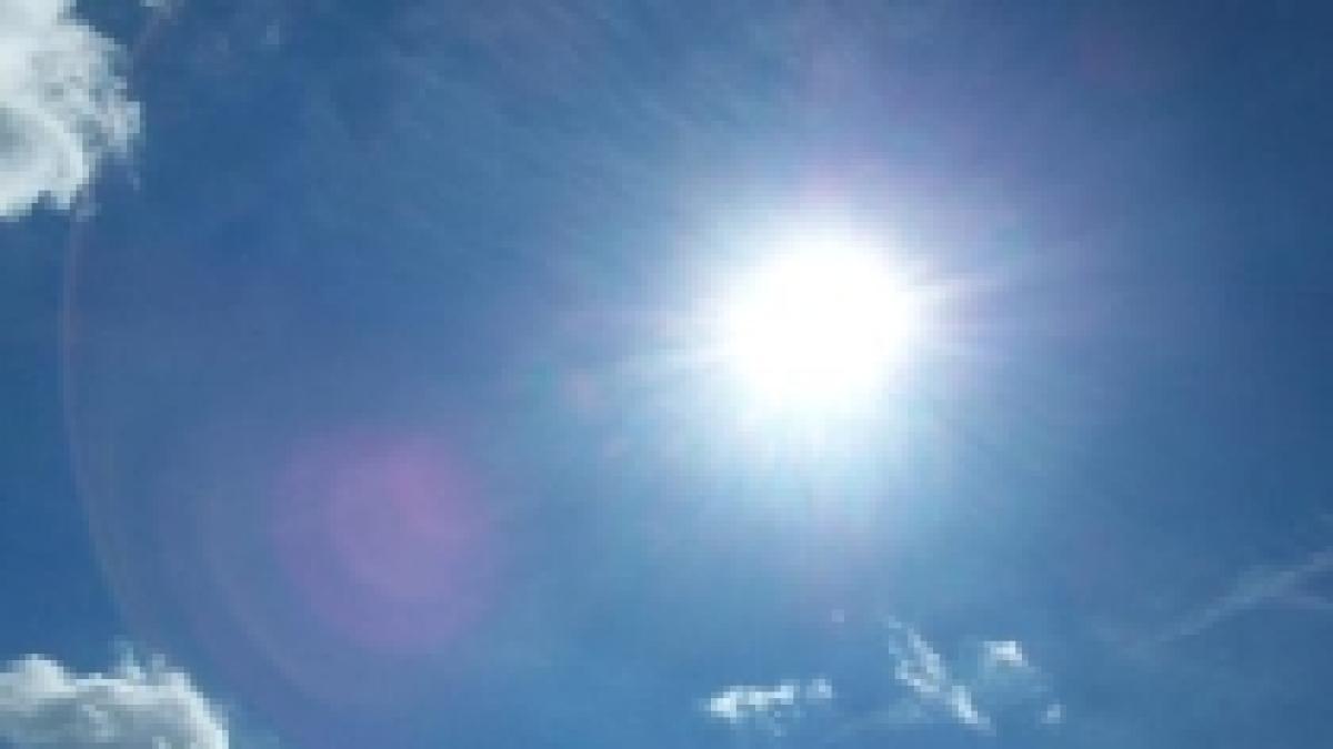 Zilele însorite ajută creierul să gândească mai eficient 