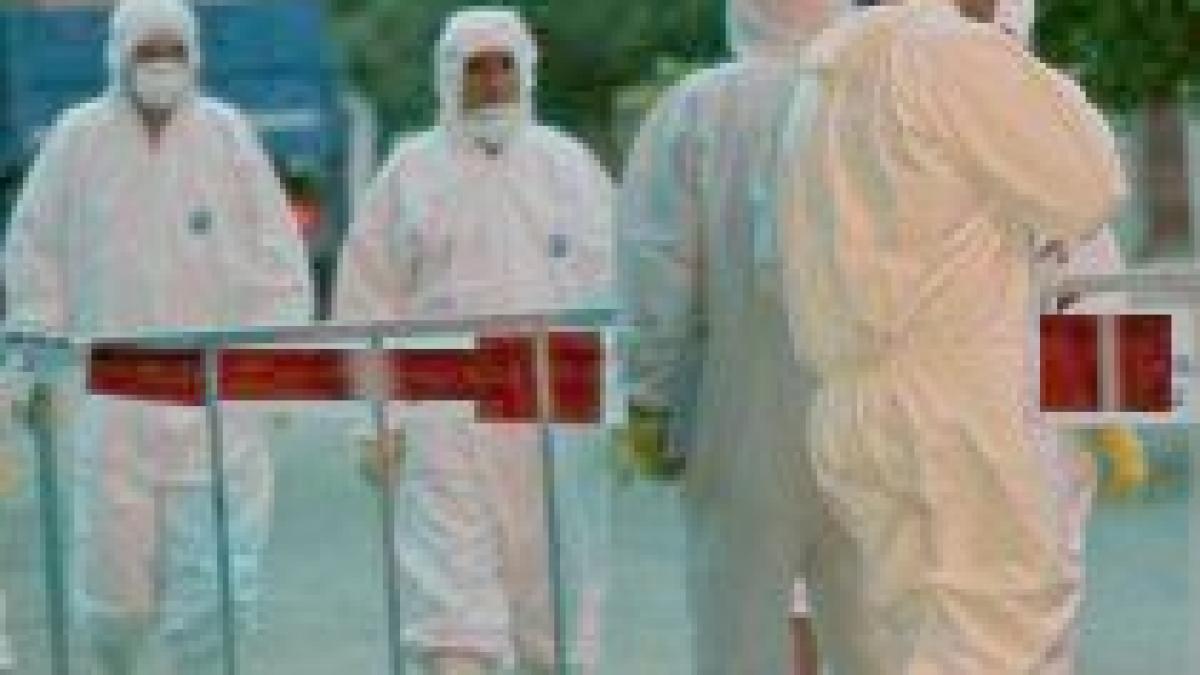 12.000 de cazuri noi de gripă A H1N1, confirmate într-o singură săptămână în Spania