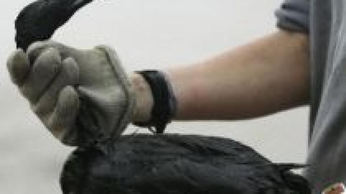 dezastru ecologic intr o rezervatie naturala din sudul frantei