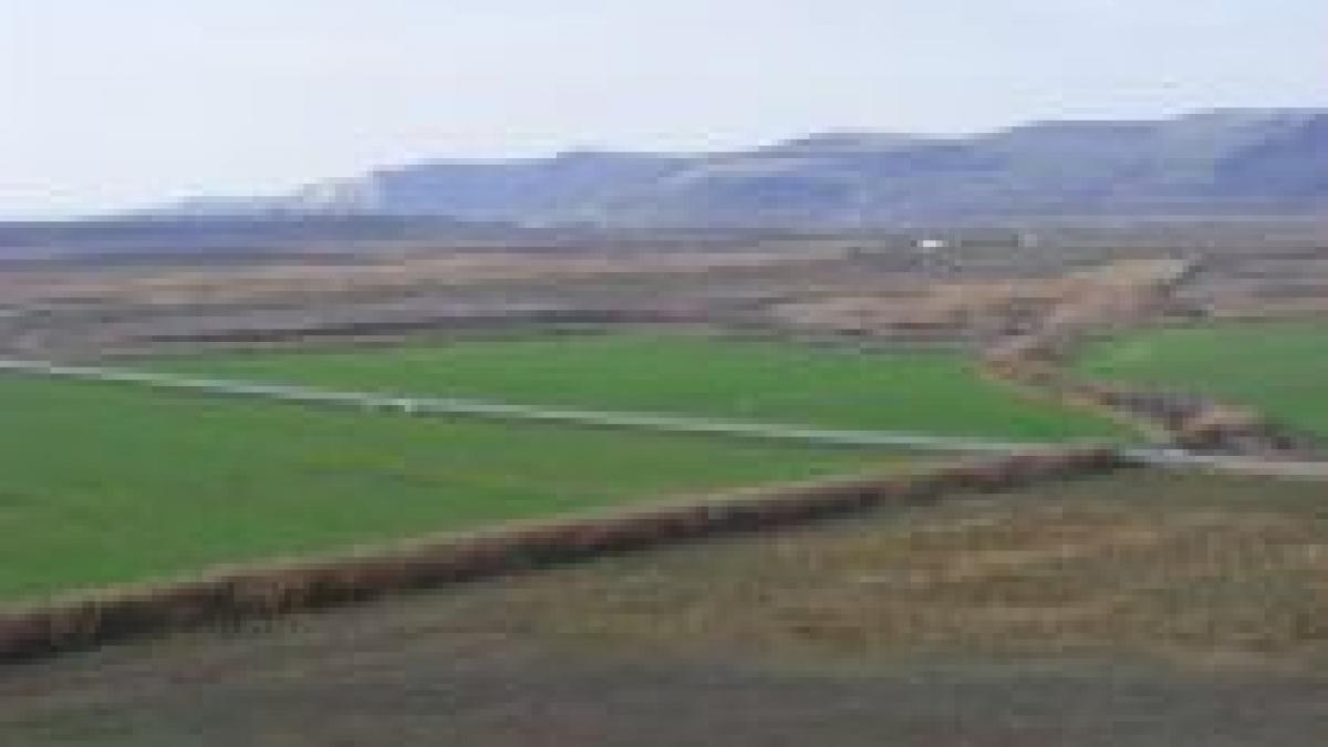 directia regionala de drumuri timisoara a cheltuit 2 2 milioane de euro pe un teren in litigiu