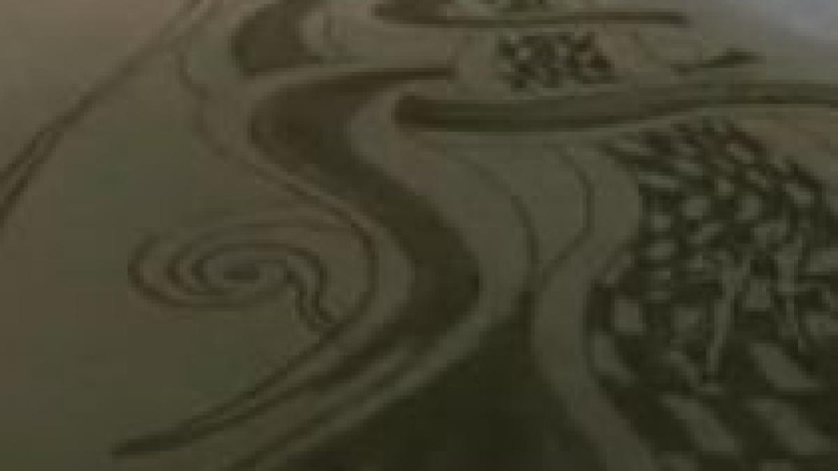 arta contra cronometru peter donnelly maestru la desene pe nisip video