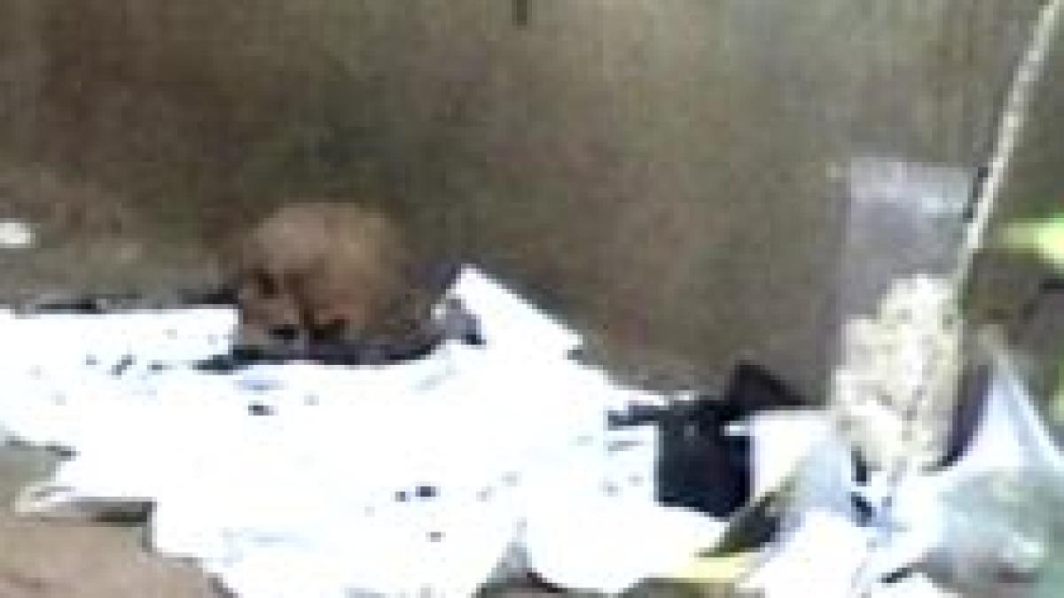 descoperire macabra in capitala ramasite umane gasite intr o gradina video