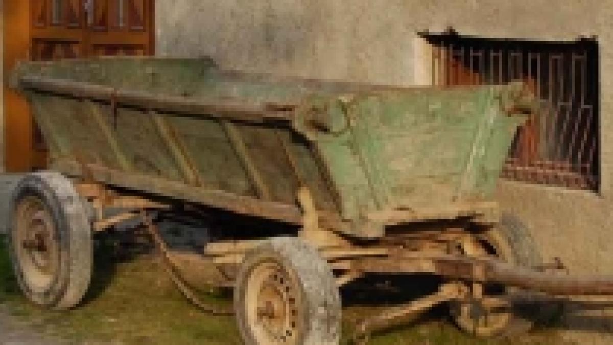 masini de teren cu numere de carute in judetul olt