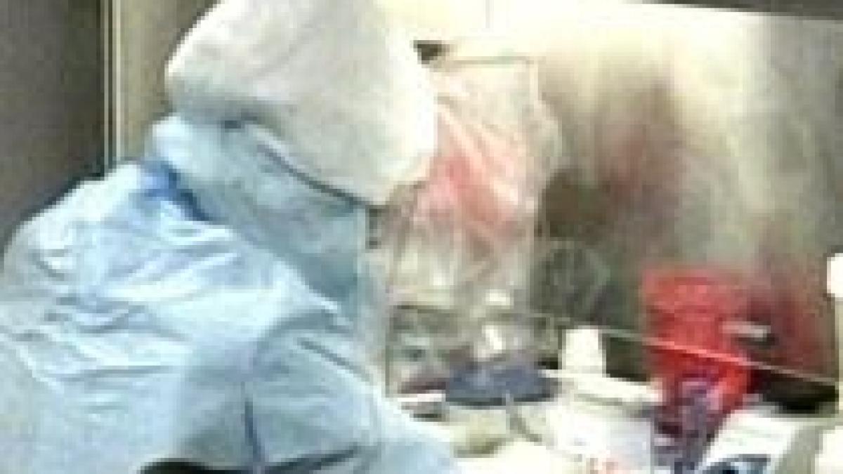 specialist german vaccinul impotriva gripei porcine ar putea duce la aparitia cancerului