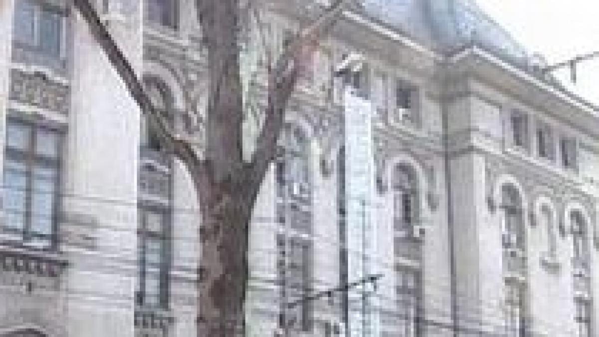 contract de 200 000 euro pentru deplasarile in strainatate ale primarului si viceprimarilor