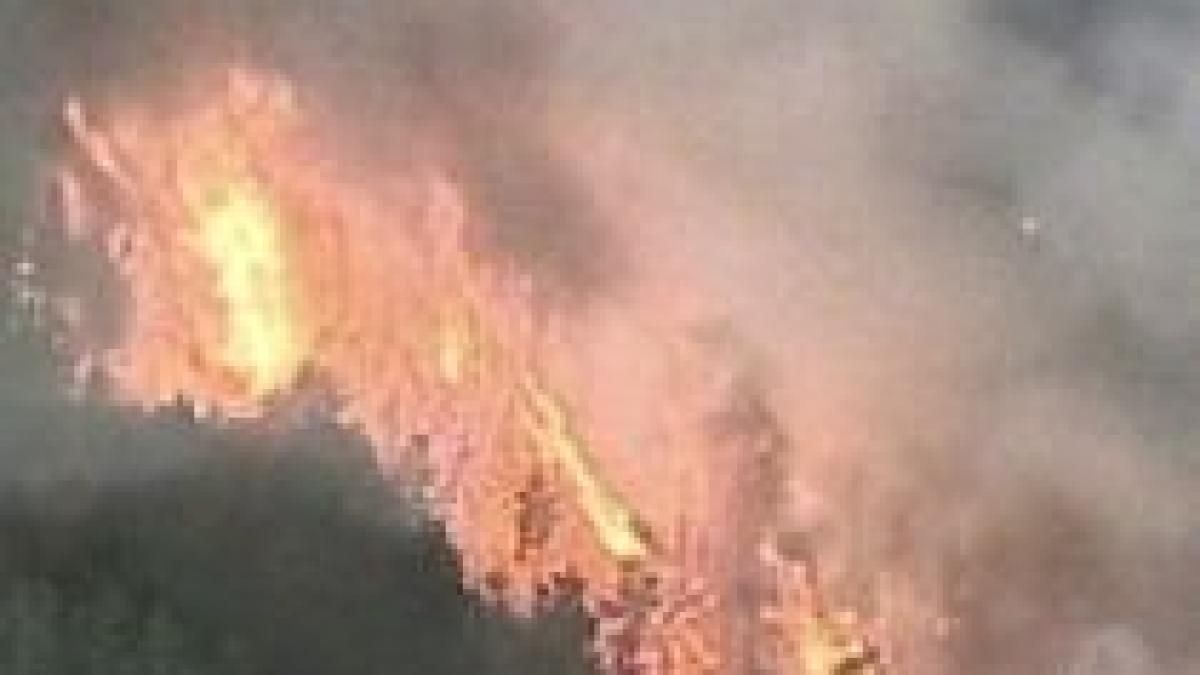 incendiu puternic de vegetatie in california peste 250 de locuinte evacuate video