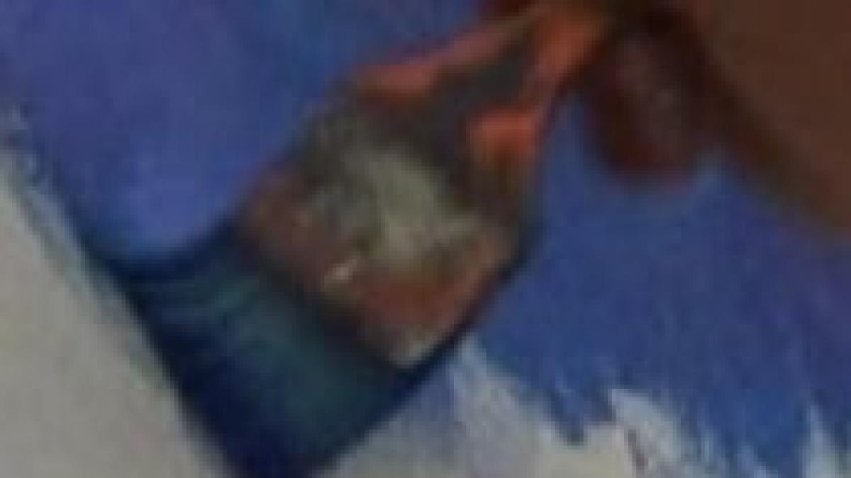 sat de romi salvat prin arta un pictor va expune povestea lor pe peretii caselor video