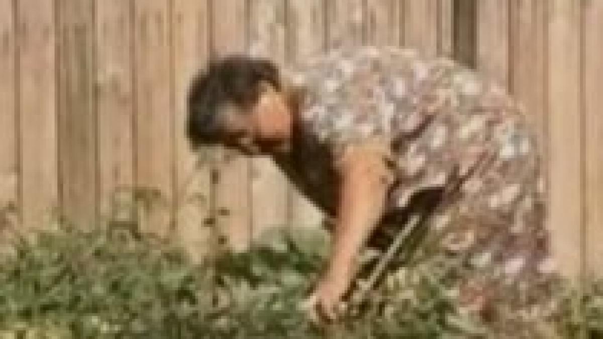 200 000 de romani s au mutat la tara in ultimele 12 luni video