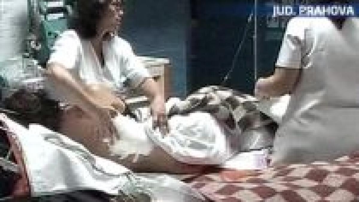 doi turisti francezi atacati de un urs in muntii bucegi video