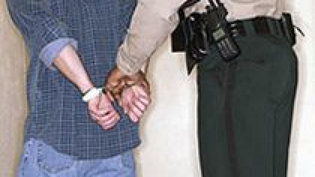 marea britanie doi hoti romani prinsi cu ajutorul unui pensionar