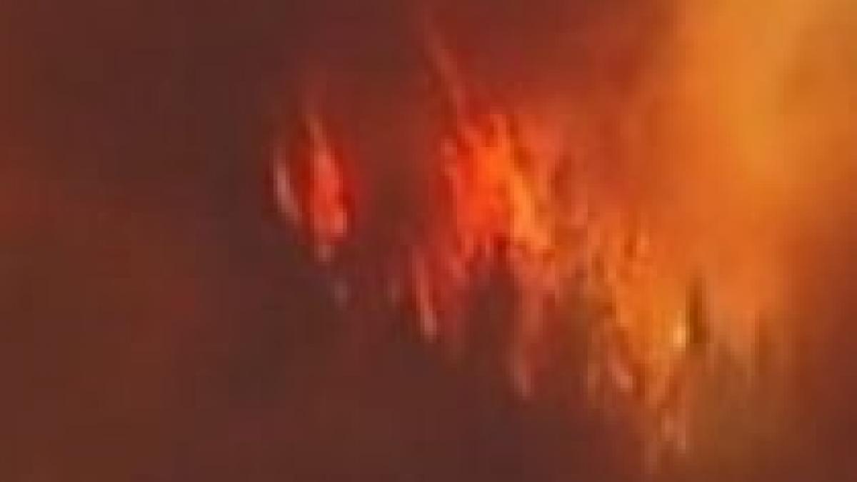 stare de urgenta in california din cauza incendiilor de vegetatie