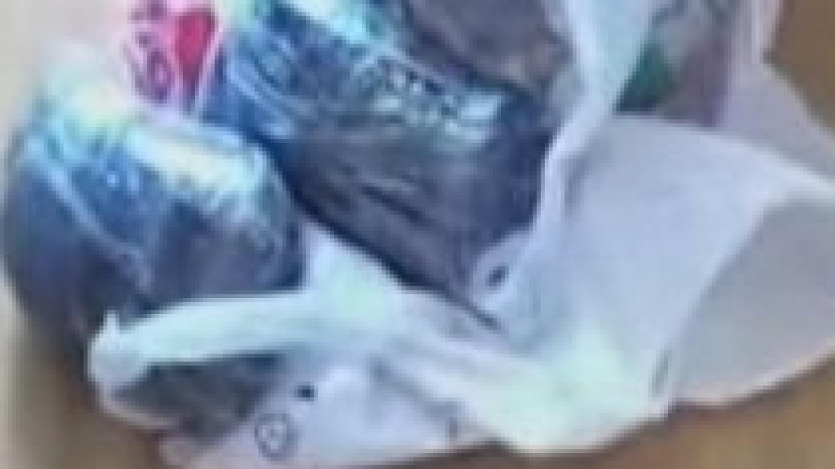 doi cetateni turci patroni ai unei firme din constanta retinuti pentru trafic de droguri video