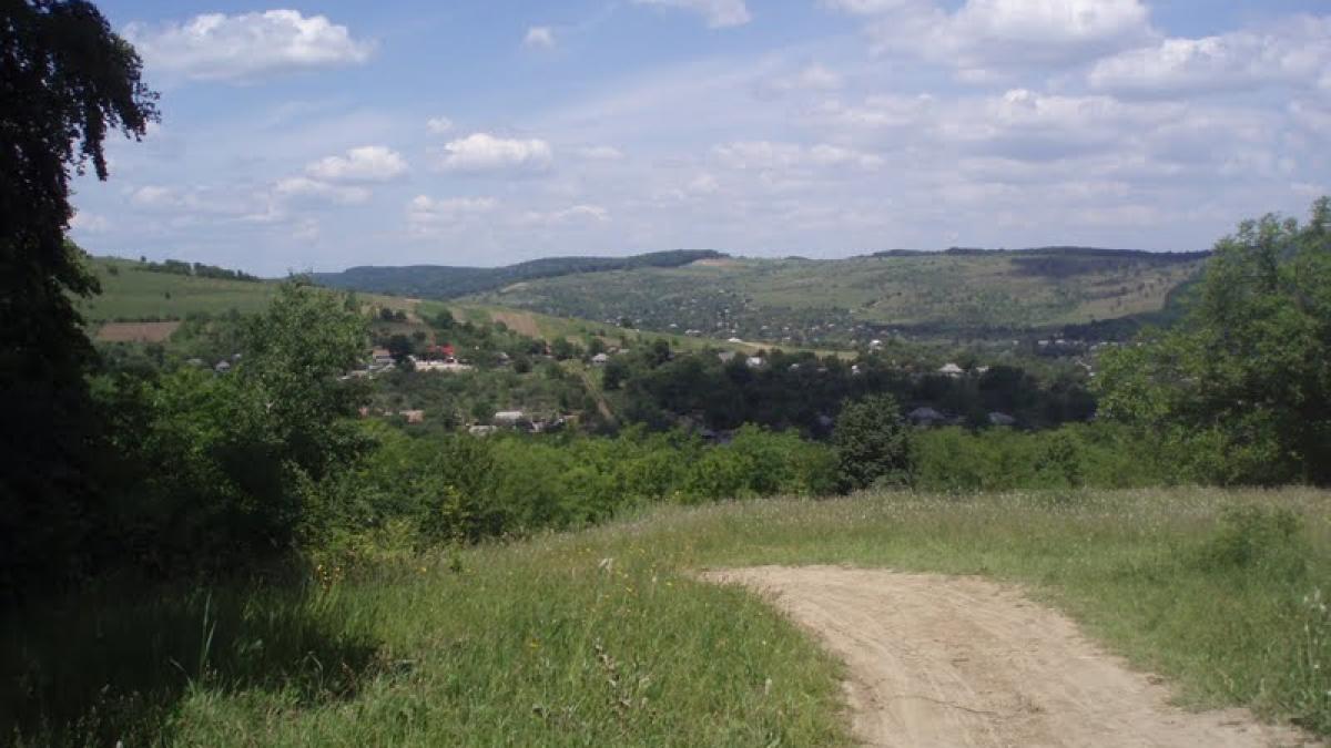 la inchisoare pentru o palma de pamant un batran de 82 de ani spera la gratierea presedintelui video