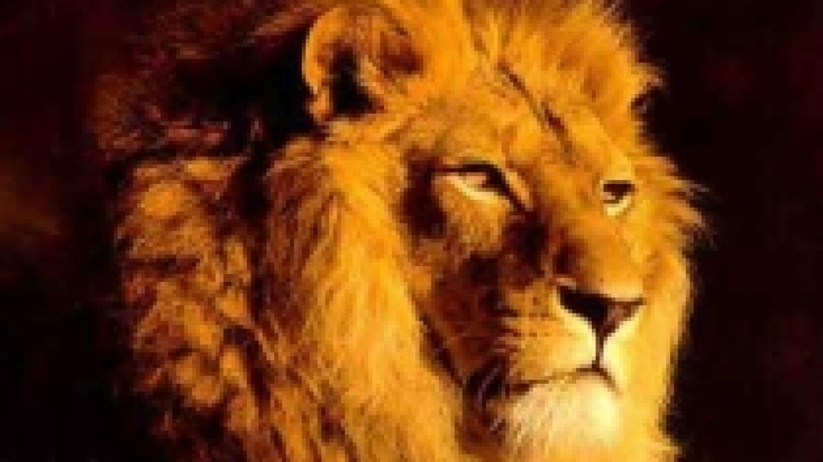 leii pe cale de disparitie in kenya