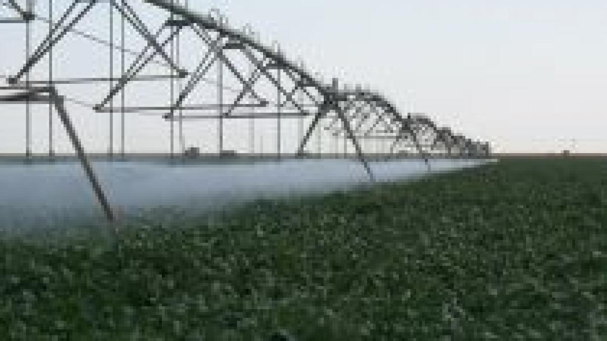 se taie salariile la anif si romsilva directorul general va avea numai 6 700 lei pe luna