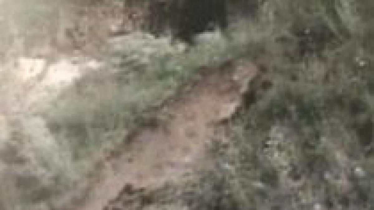 alerta la ocnele mari saramura ameninta casele localnicilor video