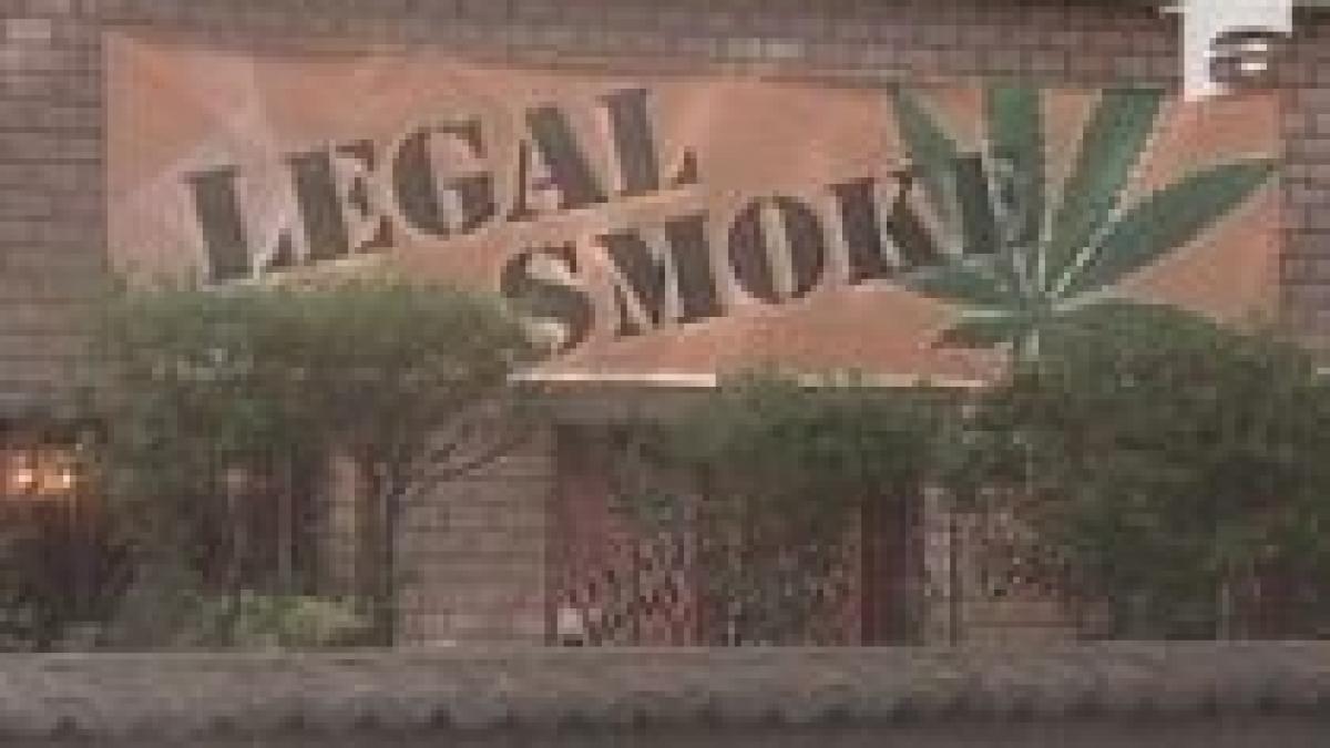 magazinele care vand legal plante halucinogene ar putea fi interzise