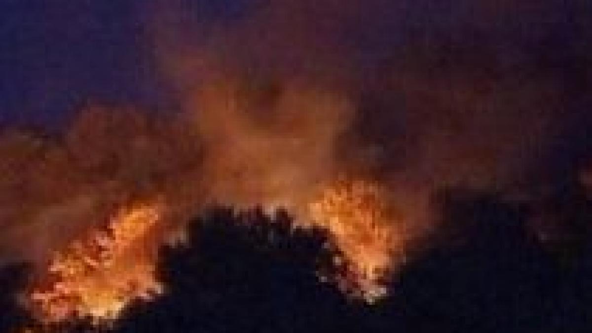 incendii de vegetatie in grecia doua focare au izbucnit la periferia de nord a atenei video