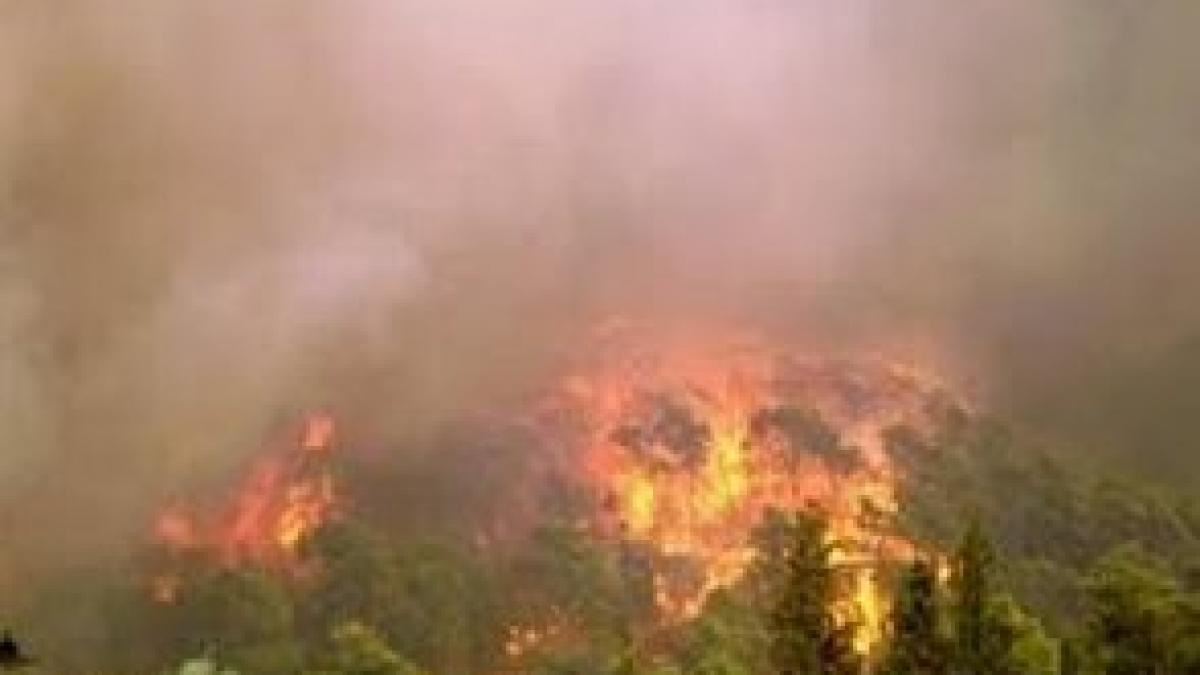 incendiile din grecia amana derby ul dintre aek atena si olympiakos pireu