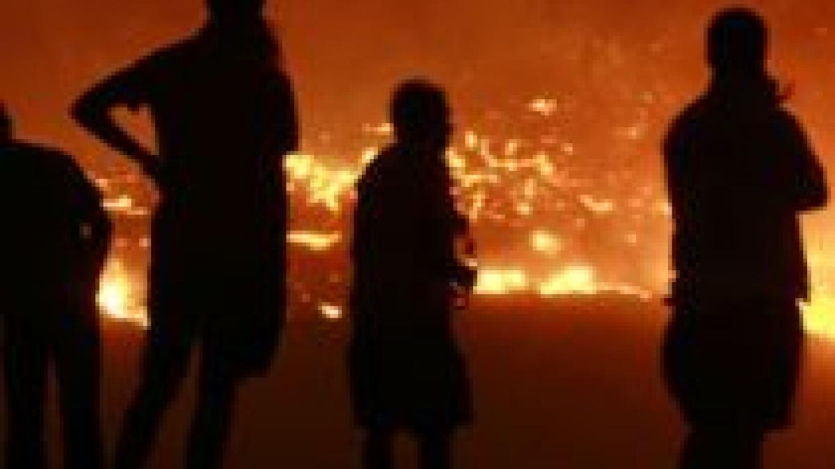 Stare de urgenţă. Un puternic incendiu de pădure a izbucnit lângă Atena