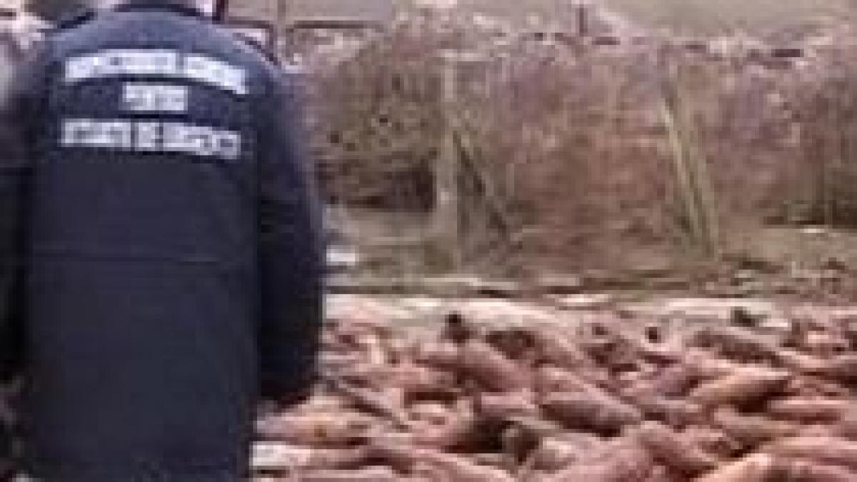 cornel purcarea mircea basescu a asigurat utilajele pentru descarcarea a 1 630 tone de munitie nato