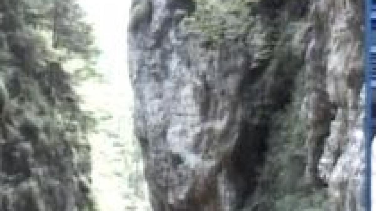 turist de 73 de ani gasit inconstient in muntii fagaras salvamontistii incearca sa l transporte cu